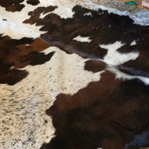 Meet your Posher, Janine